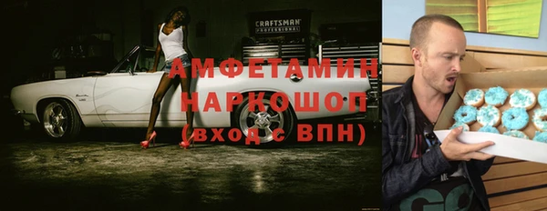 прущие грибы Алзамай