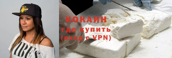 кокс Алексин