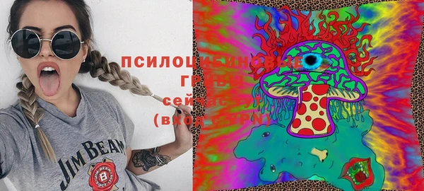 кокс Алексин