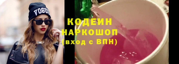 прущие грибы Алзамай