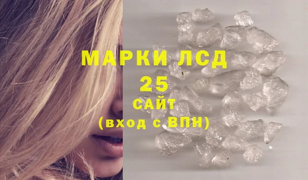 прущие грибы Алзамай