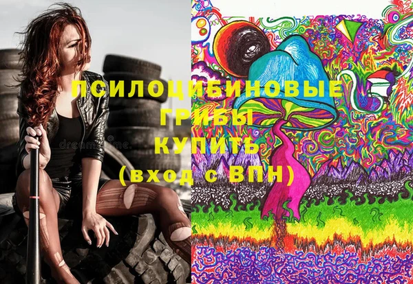 кокс Алексин