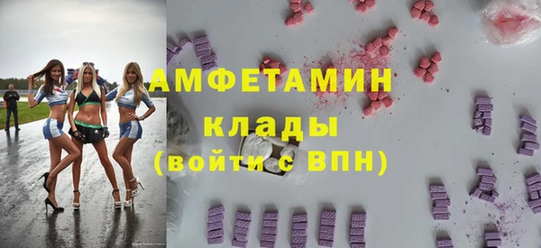 прущие грибы Алзамай