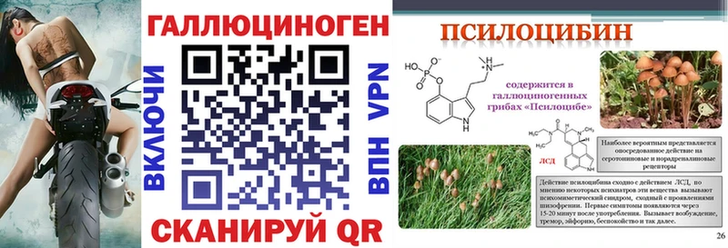 Галлюциногенные грибы Cubensis  купить   Сургут 